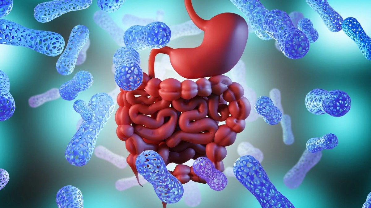 Gut microbiome (1)